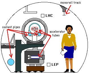 tekening LHC en LEP in tunnel