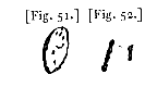 fig. 51, 52