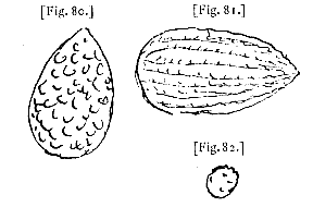 fig. 80-82