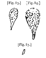 fig. 83-85