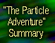 The particle adventure summary