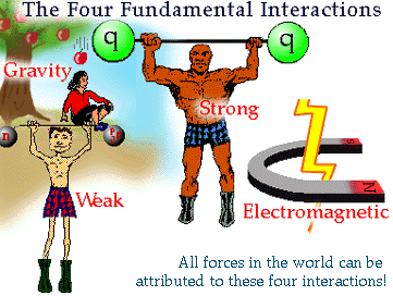 Strong, weak, gravity, electromagnetism