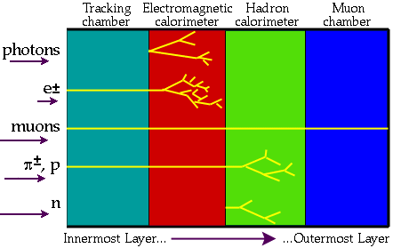 van binnen naar buiten: Tracking, e.m. calorimeter, hadron calorimeter, muon chamber