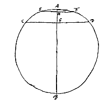 segmenten van 1 cirkel