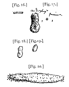fig. 16-20