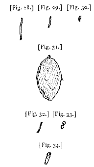 fig. 28-34
