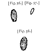 fig. 56-58