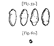 fig. 59, 60