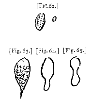 fig. 62-65