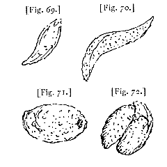 fig. 69-72