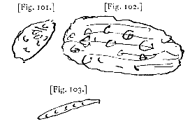 fig. 101-103