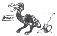 struisvogel eet ijzer