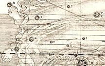 Virgo, detail (Bayer)