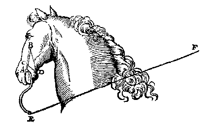 paardehoofd met mondstuk