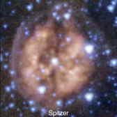 Cranium-nevel, Spitzer