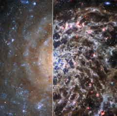 IC 5332, Webb en Hubble